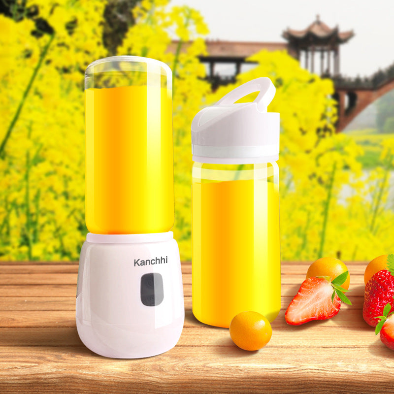 Mini juicer for home use