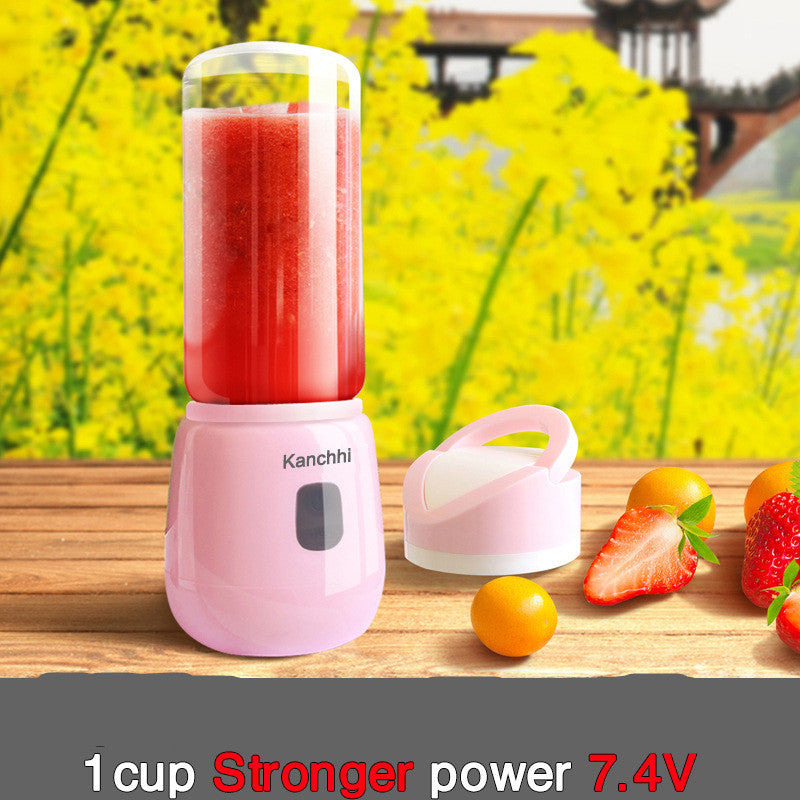 Mini juicer for home use