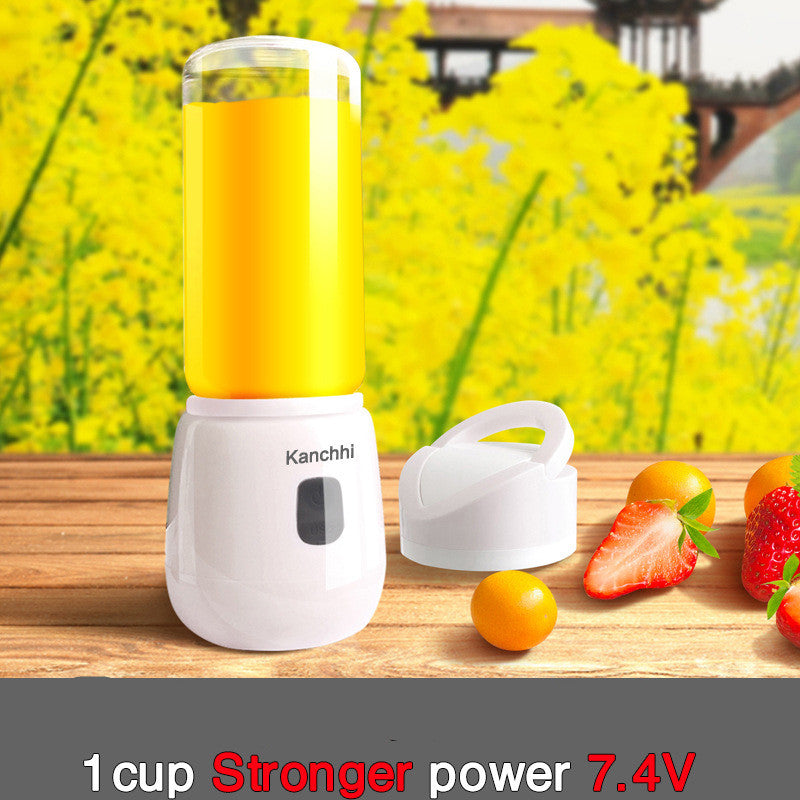 Mini juicer for home use