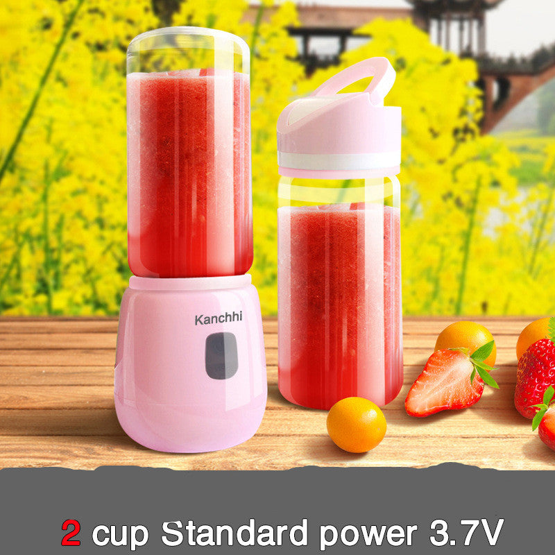 Mini juicer for home use