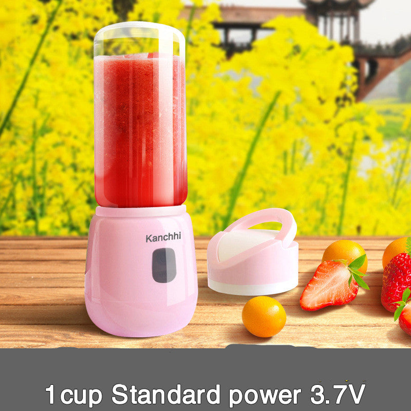 Mini juicer for home use