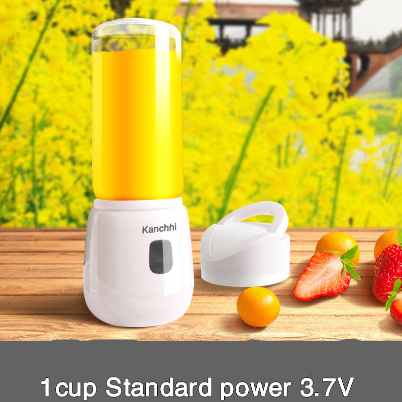 Mini juicer for home use