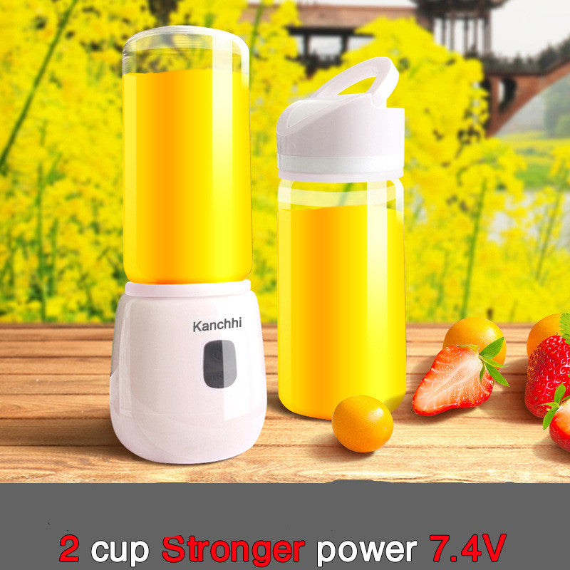 Mini juicer for home use