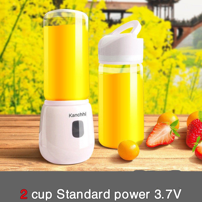 Mini juicer for home use